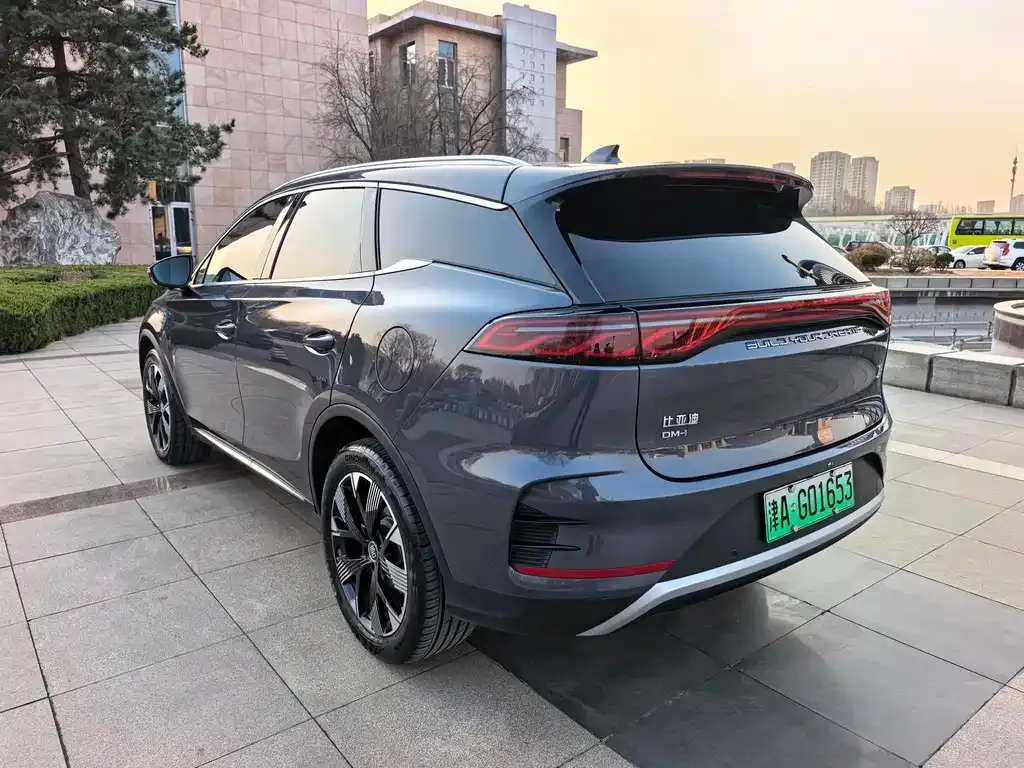 BYD Tang New Energy — фото 2