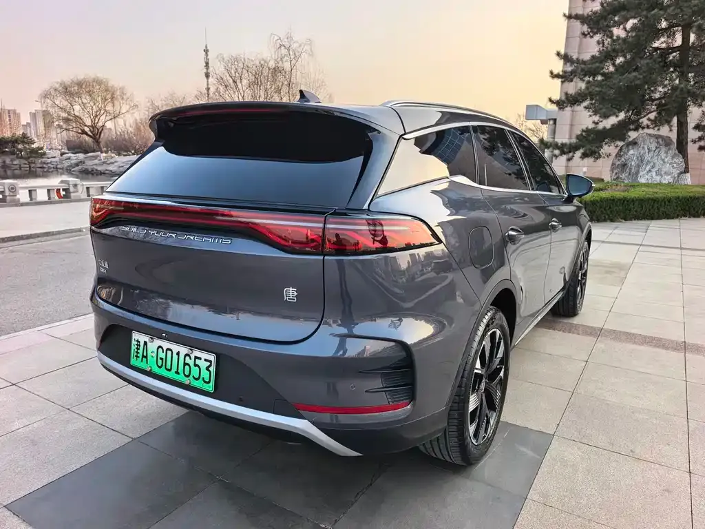 BYD Tang New Energy — фото 8