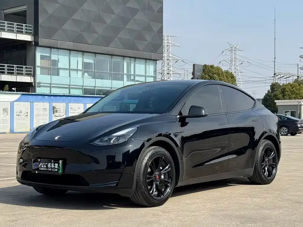 Tesla Model Y — фото 1