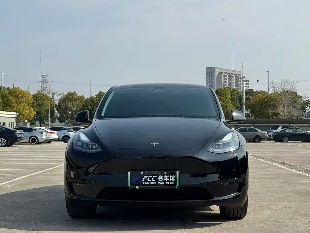 Tesla Model Y — фото 3