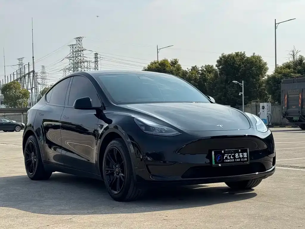 Tesla Model Y — фото 2