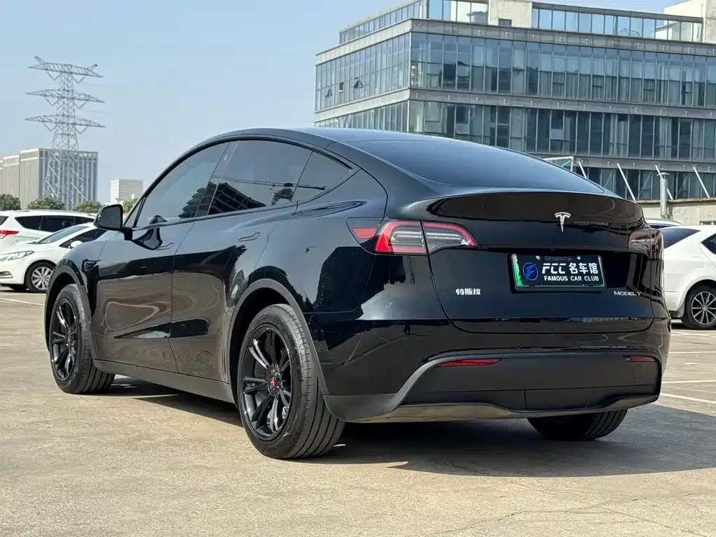Tesla Model Y — фото 4