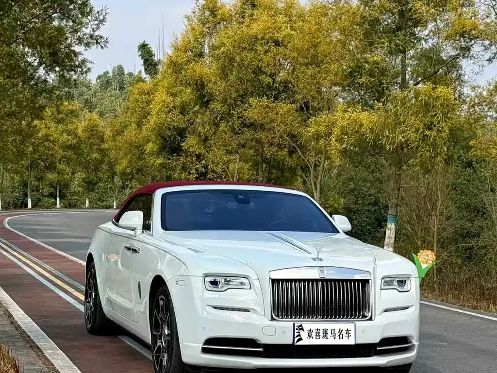 Rolls-Royce Dawn 2021 из CN, фото 10