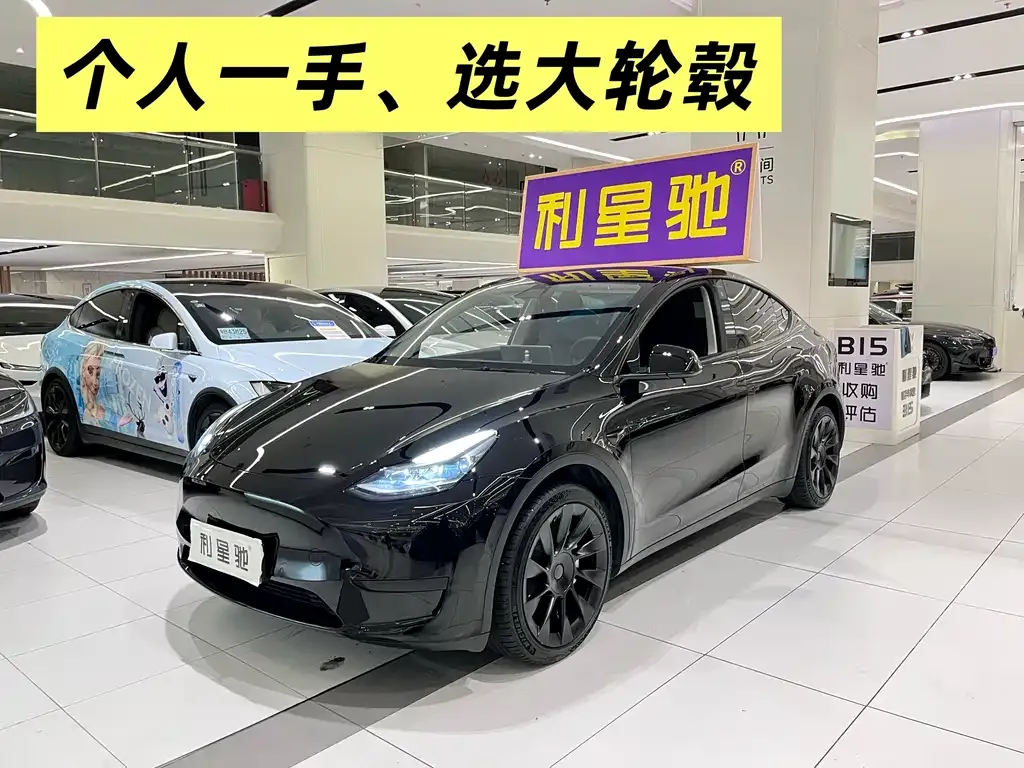 Tesla Model Y — фото 1