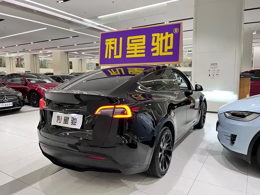 Tesla Model Y — фото 6