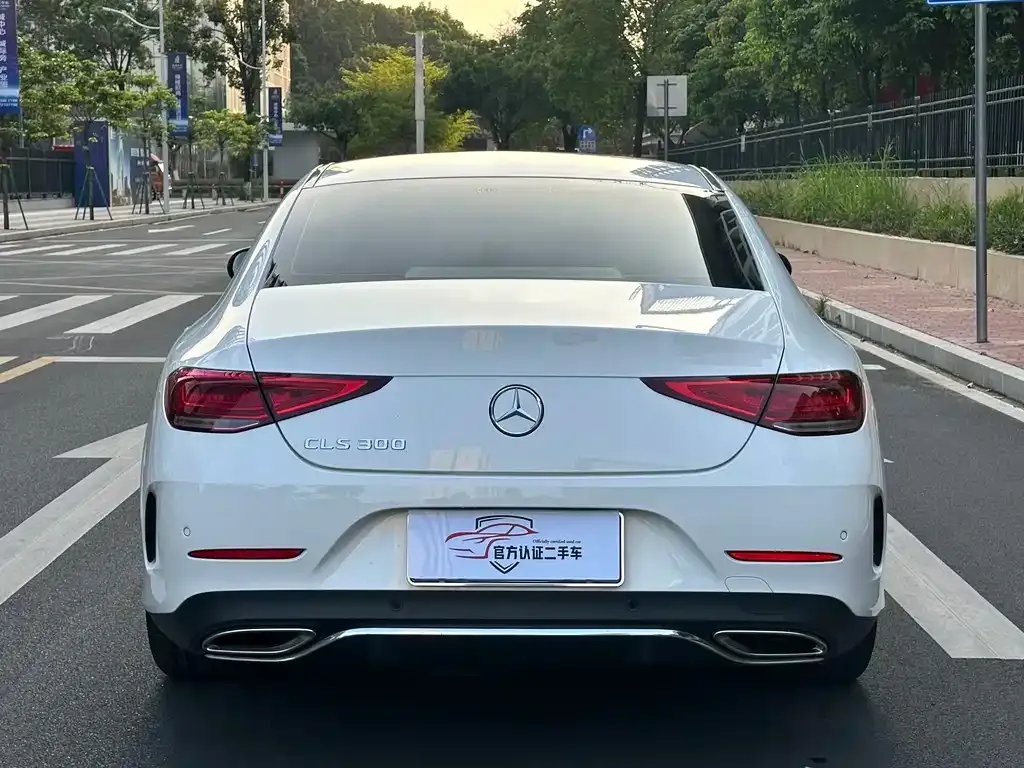Mercedes-Benz CLS 2021 из CN, фото 7