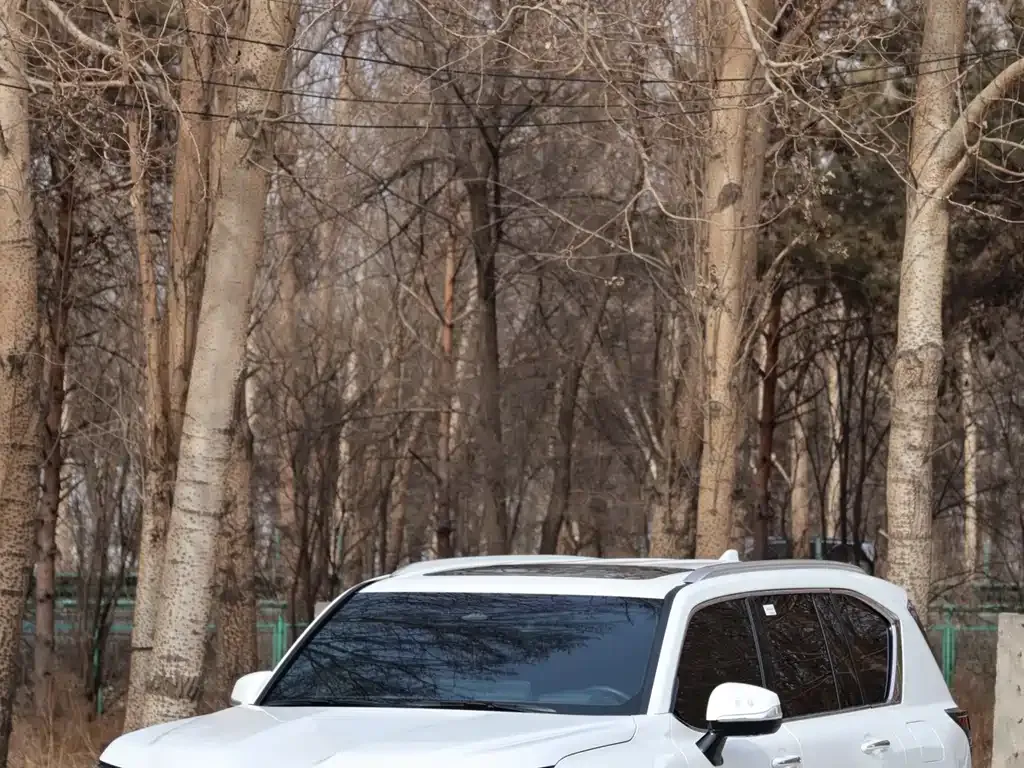 Lexus LX 2025 из CN, фото 9