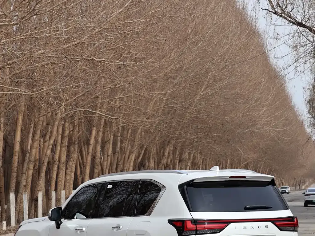 Lexus LX 2025 из CN, фото 6