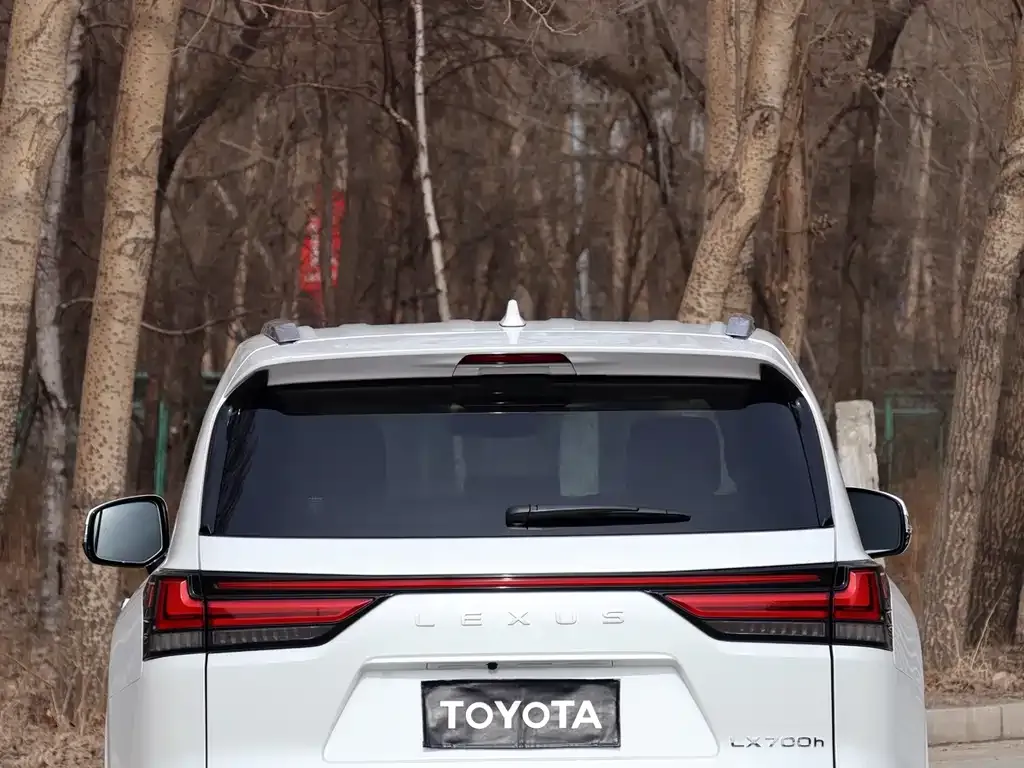 Lexus LX 2025 из CN, фото 7