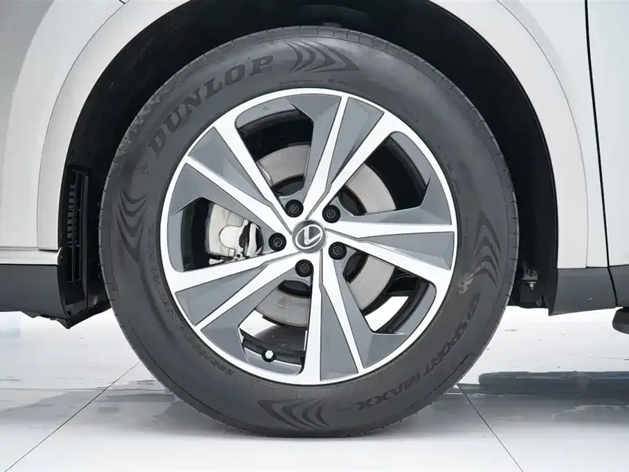 Lexus RX 2024 из CN, фото 10