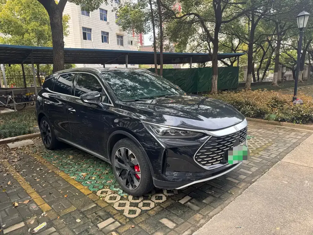 BYD Tang New Energy — фото 9