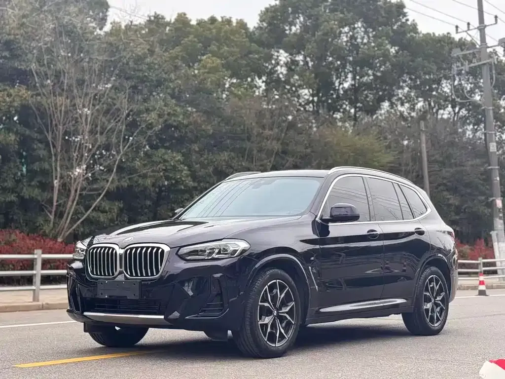 BMW X3 2024 из CN, фото 1