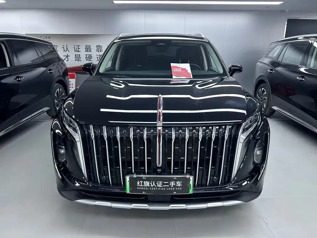 Hongqi HS7 PHEV 2024 из CN, фото 8