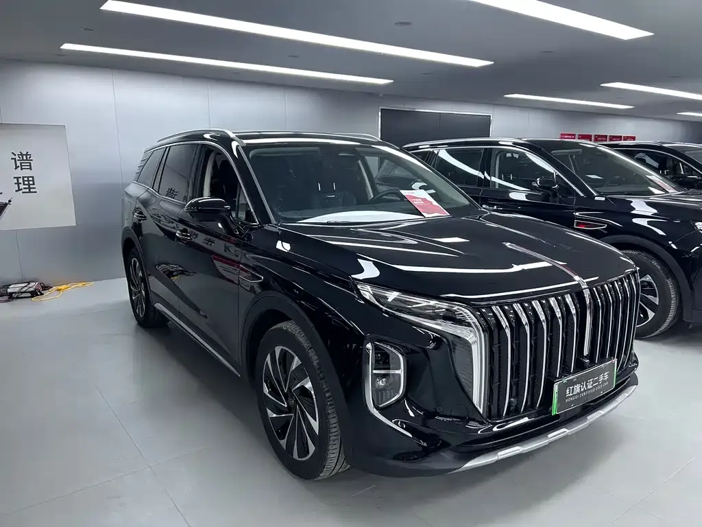 Hongqi HS7 PHEV 2024 из CN, фото 7