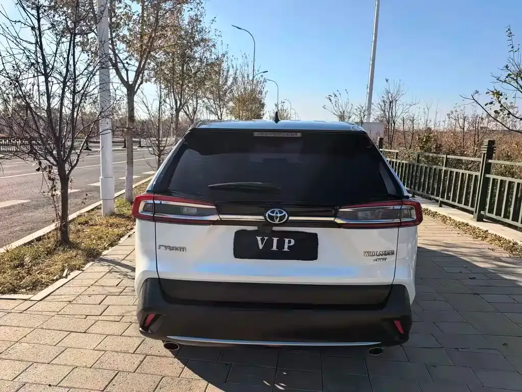 Toyota Wildlander 2022 из CN, фото 2
