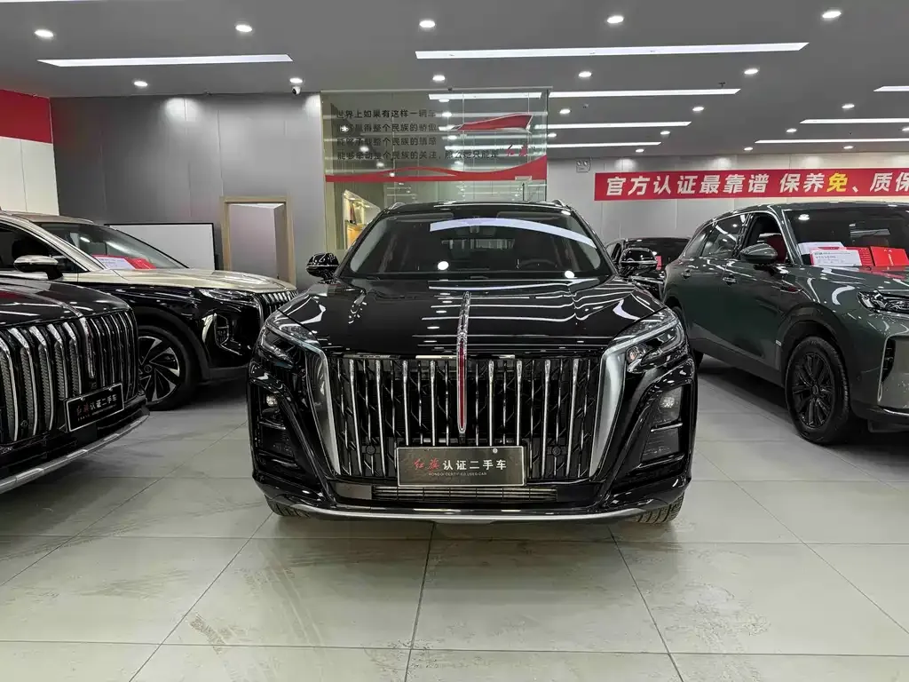 Hongqi HS3 PHEV 2025 из CN, фото 10