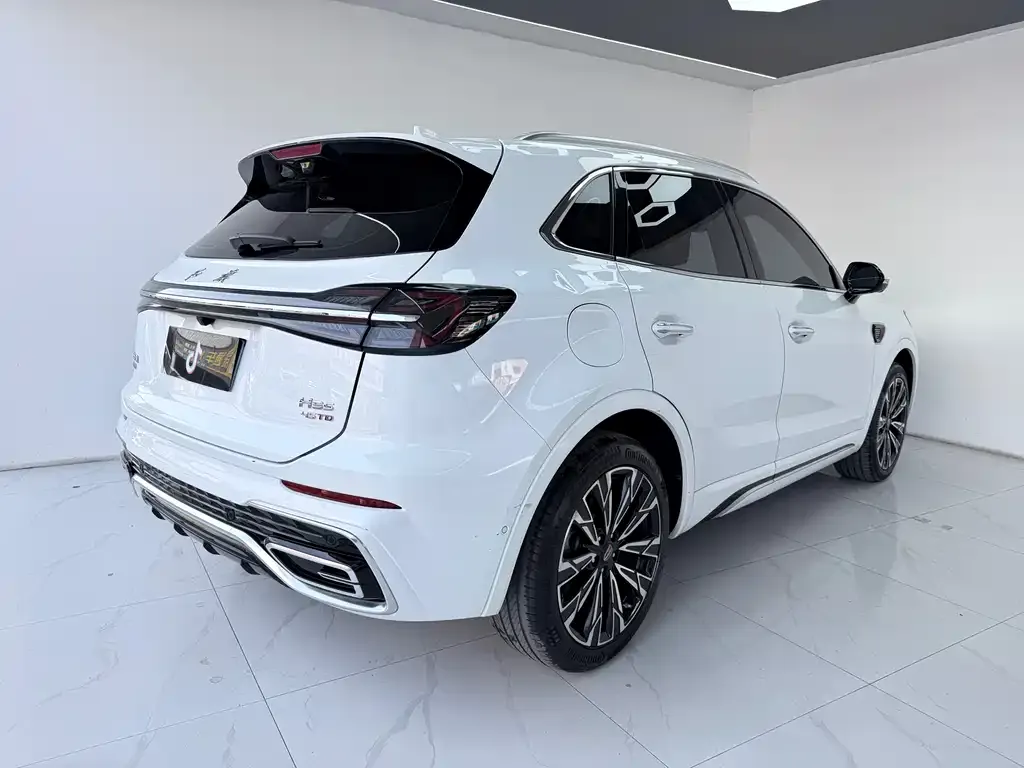 Hongqi HS5 2024 из CN, фото 8