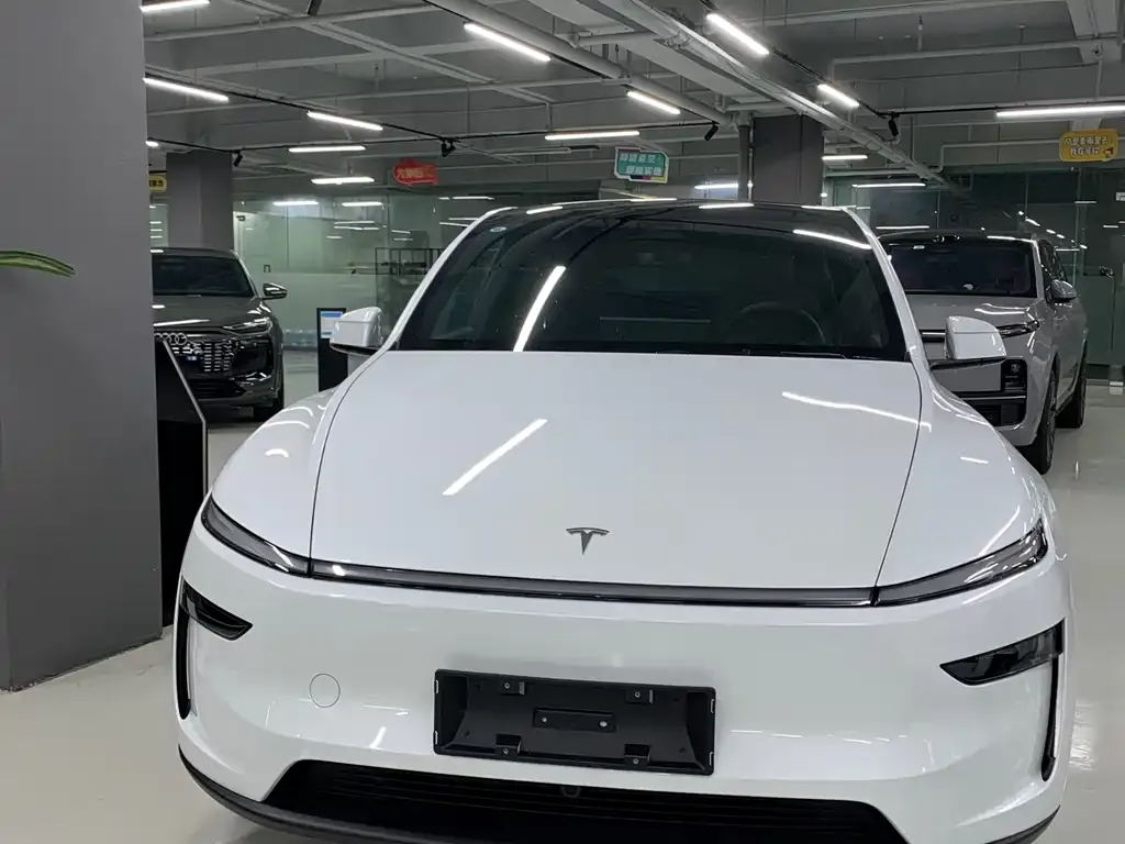 Tesla Model Y — фото 3