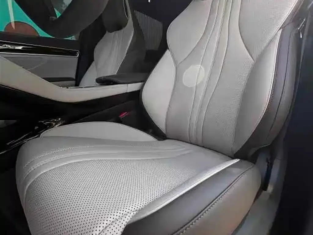 BYD PLUS New Energy 2025 из CN, фото 2