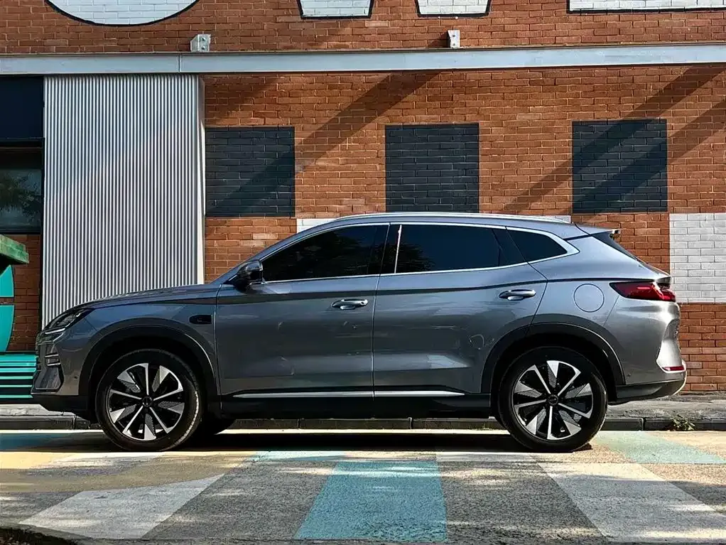 BYD PLUS New Energy 2025 из CN, фото 5