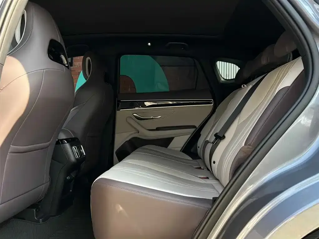 BYD PLUS New Energy 2025 из CN, фото 7