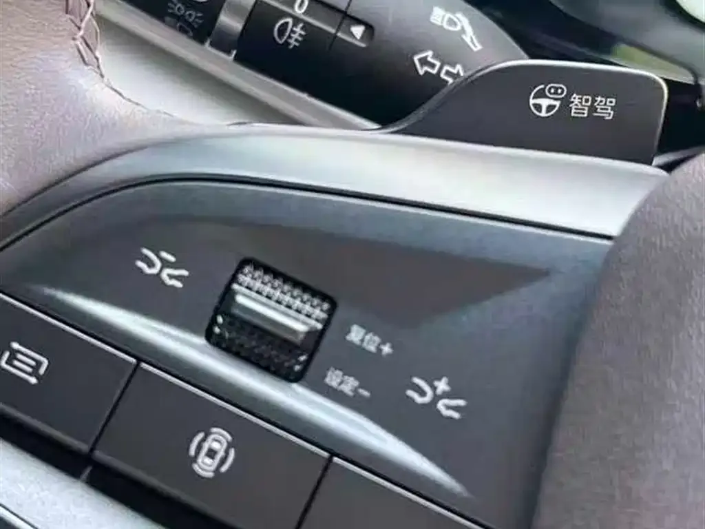 BYD PLUS New Energy 2025 из CN, фото 3