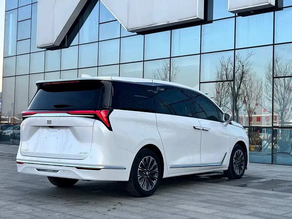 Buick GL8 — фото 9