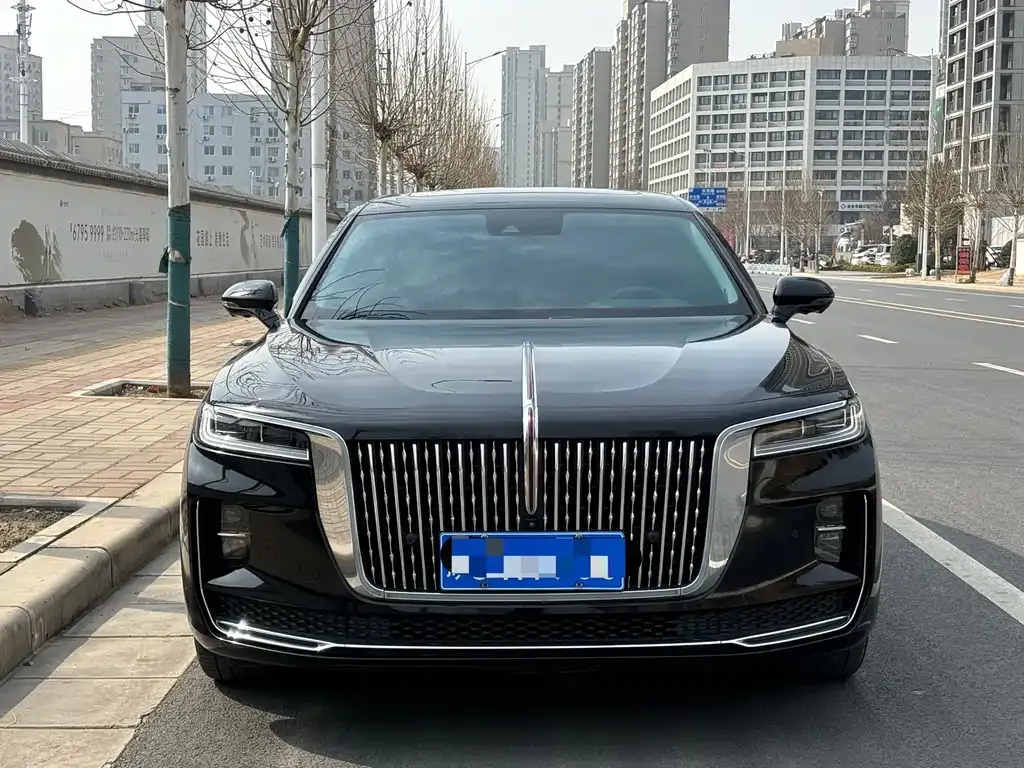 Hongqi H9 2021 из CN, фото 9