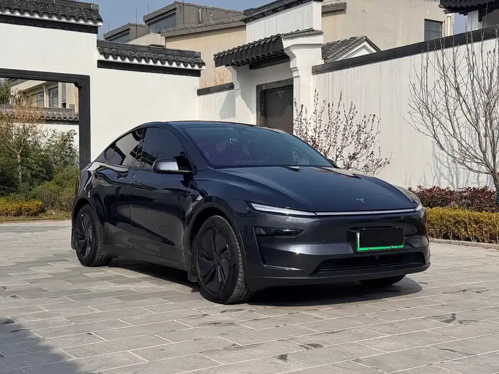 Tesla Model Y — фото 10
