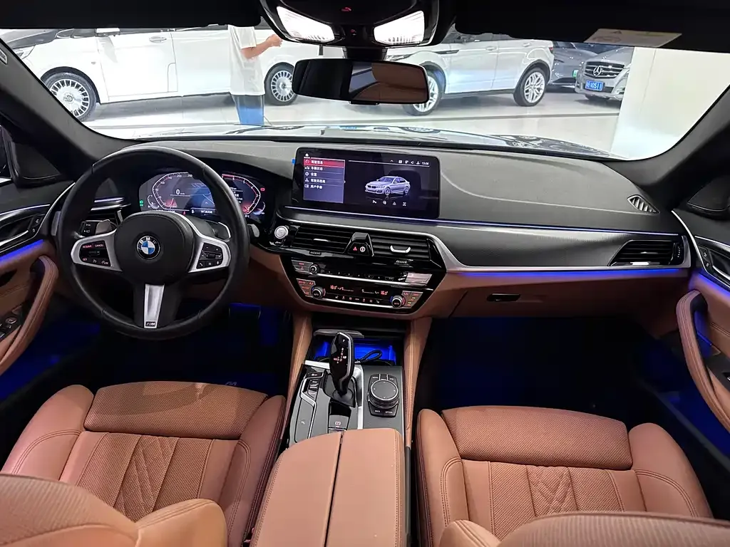 BMW 5 Series (Import) 2021 из CN, фото 7