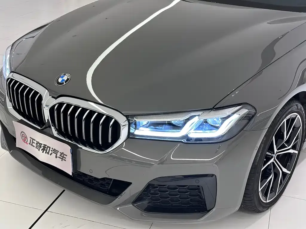 BMW 5 Series (Import) 2021 из CN, фото 2