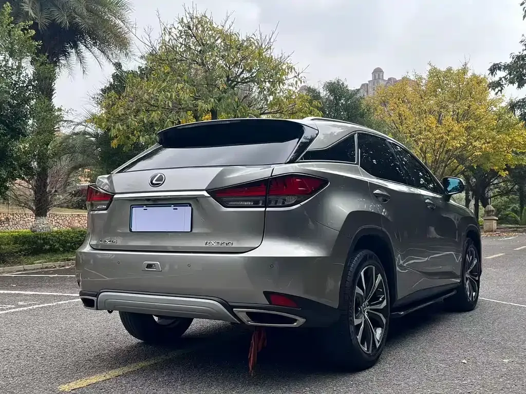Lexus RX — фото 9