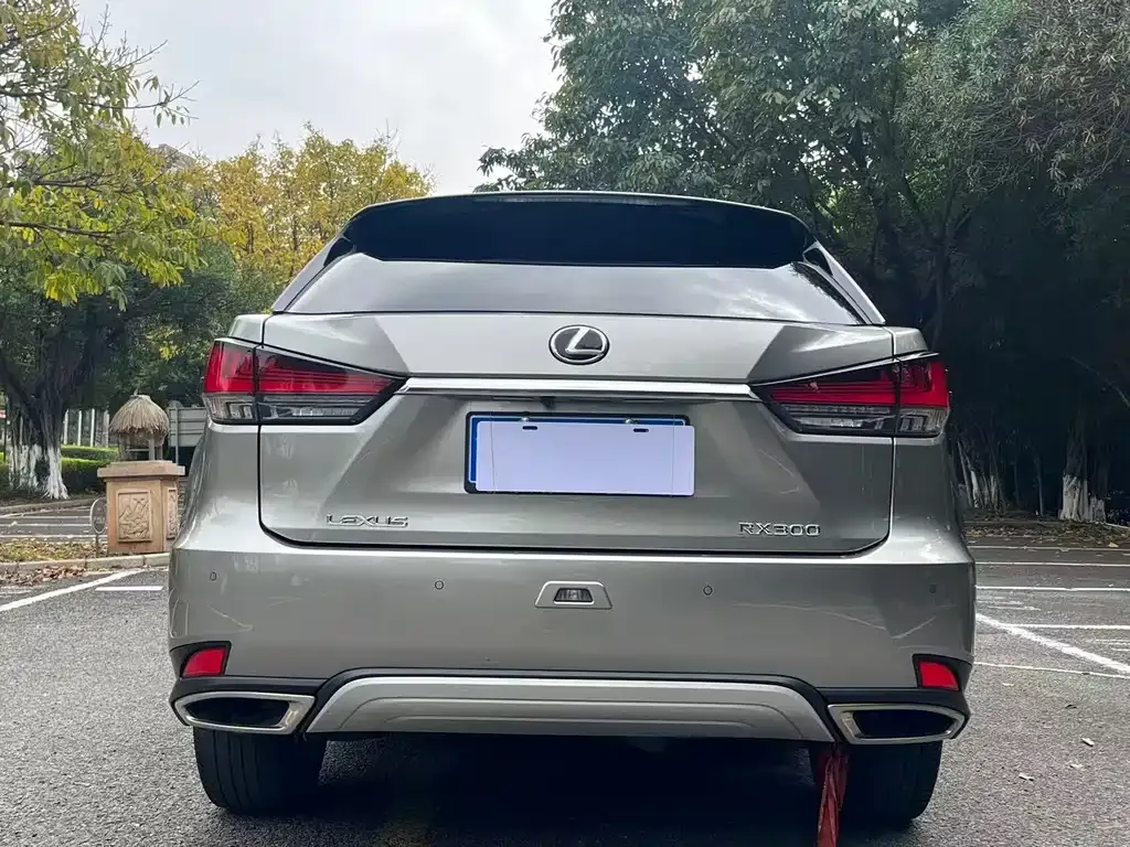 Lexus RX — фото 8