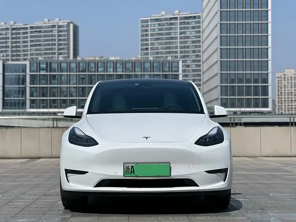 Tesla Model Y — фото 7