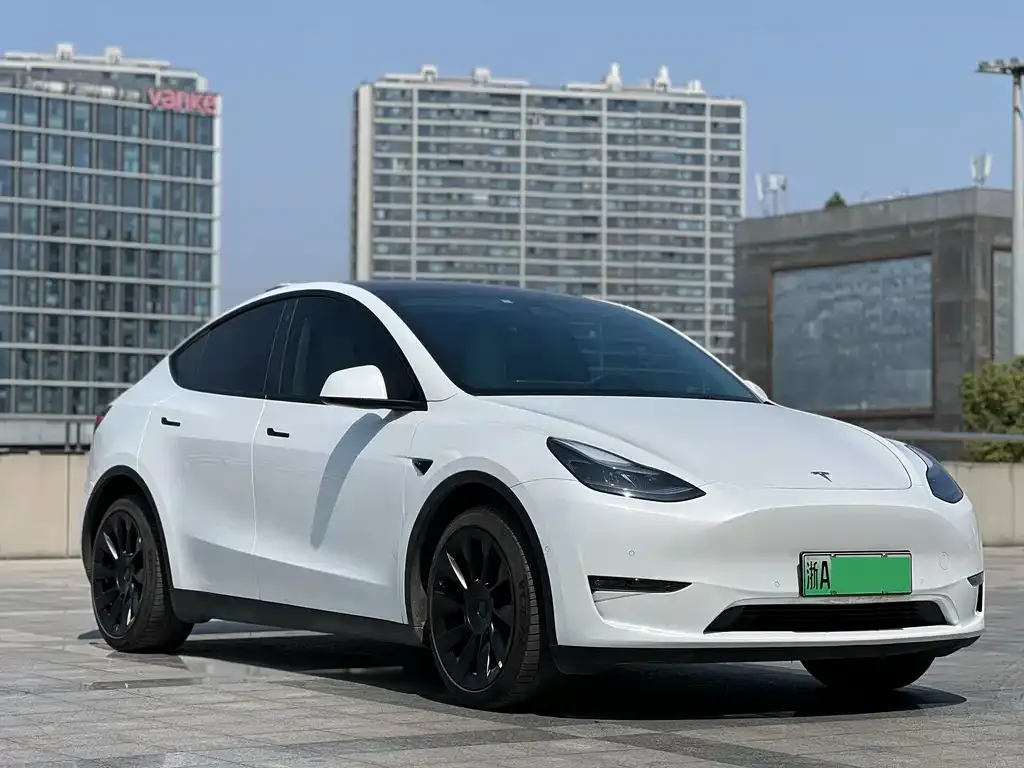 Tesla Model Y — фото 10
