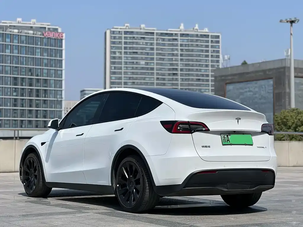 Tesla Model Y — фото 5