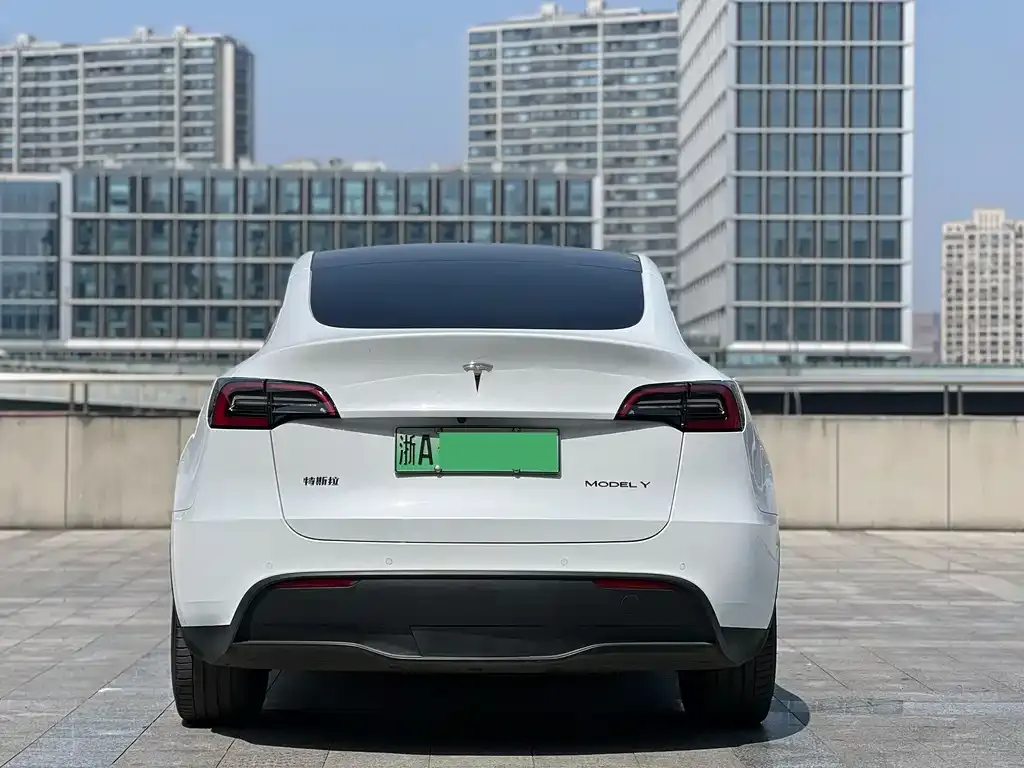 Tesla Model Y — фото 3