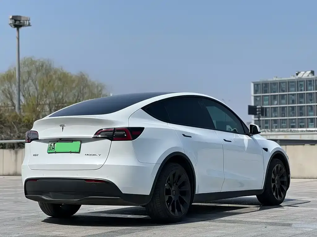 Tesla Model Y — фото 2