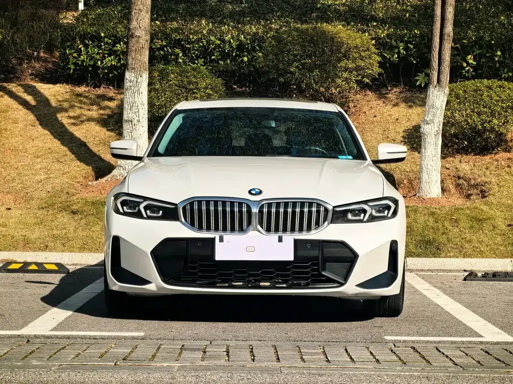 BMW 3 Series 2023 из CN, фото 5