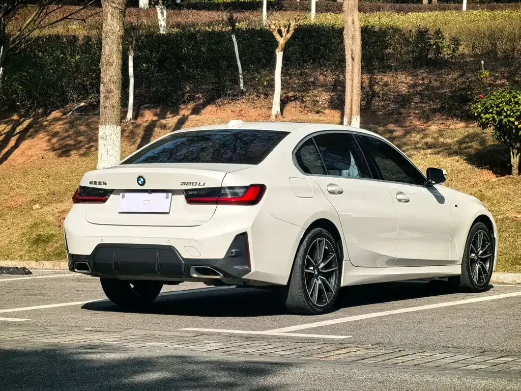 BMW 3 Series 2023 из CN, фото 6