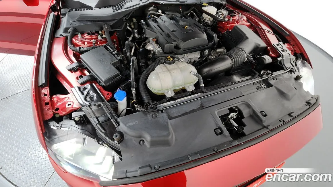 Ford Mustang 2021 из KR, фото 8