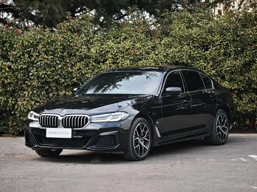 BMW 5 Series 2023 из CN, фото 1