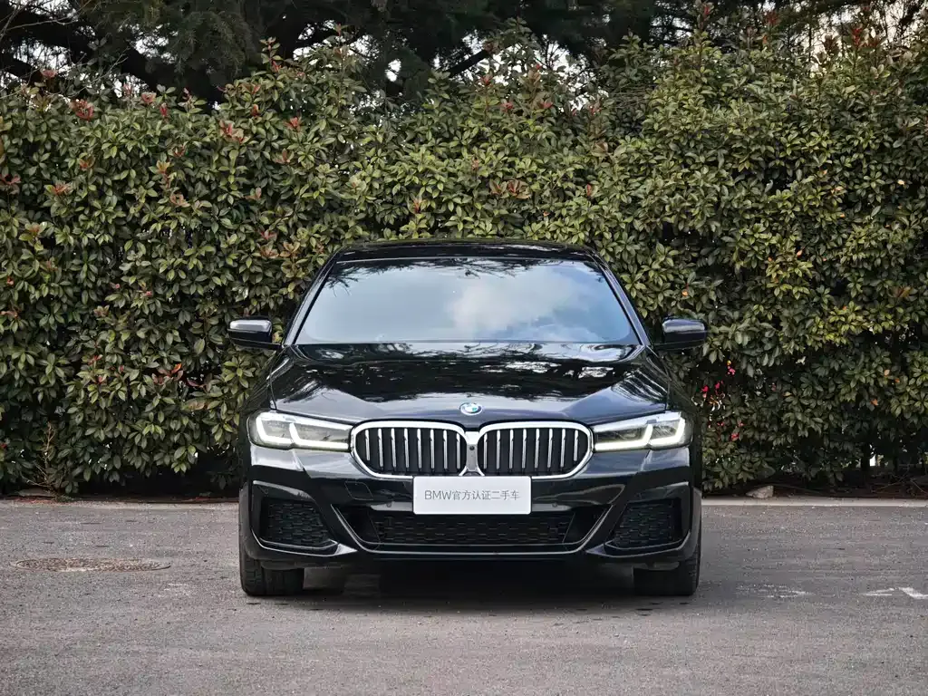 BMW 5 Series 2023 из CN, фото 5