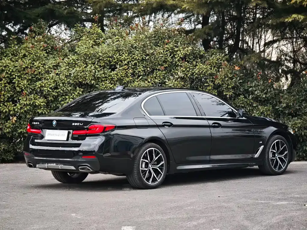 BMW 5 Series 2023 из CN, фото 4