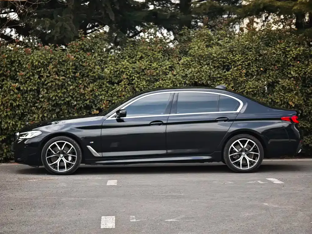 BMW 5 Series 2023 из CN, фото 3