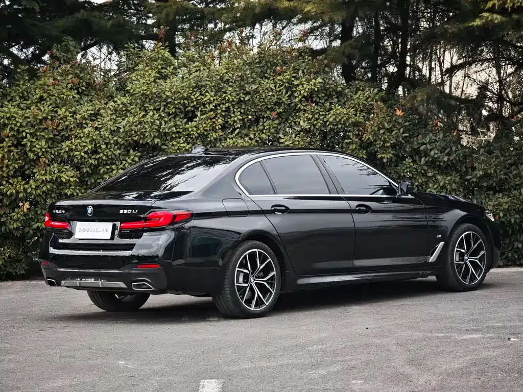 BMW 5 Series 2023 из CN, фото 2