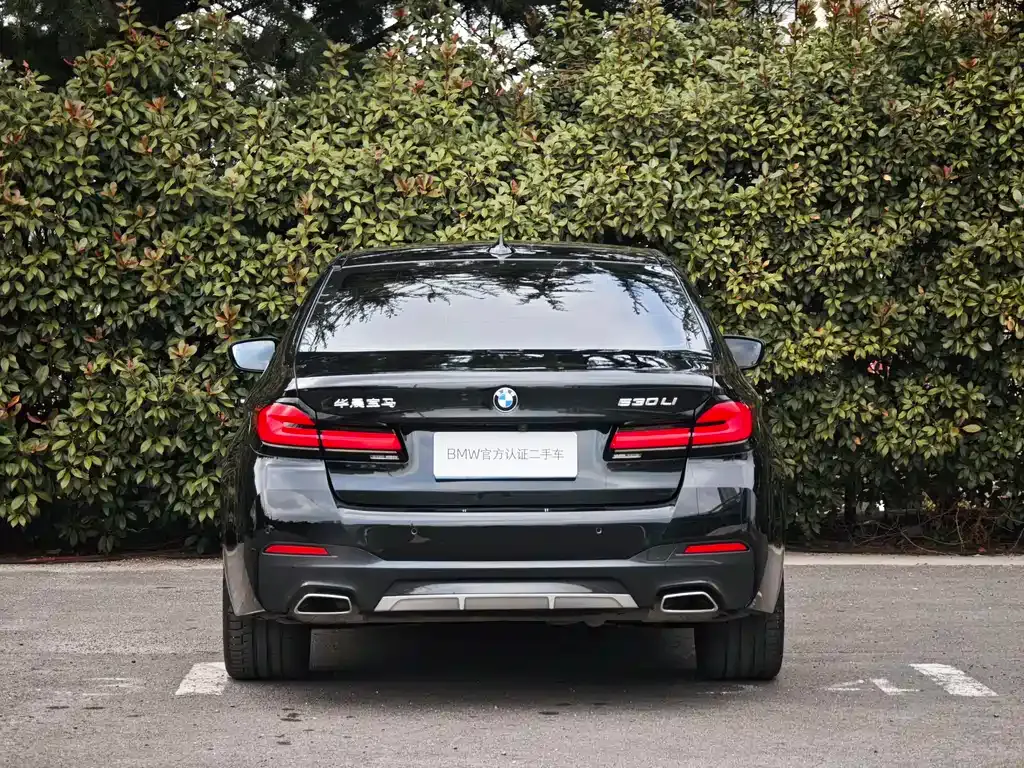 BMW 5 Series 2023 из CN, фото 7