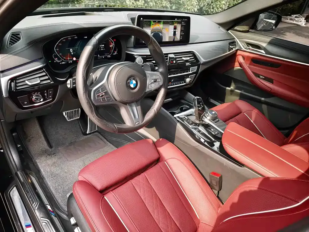 BMW 5 Series 2023 из CN, фото 8