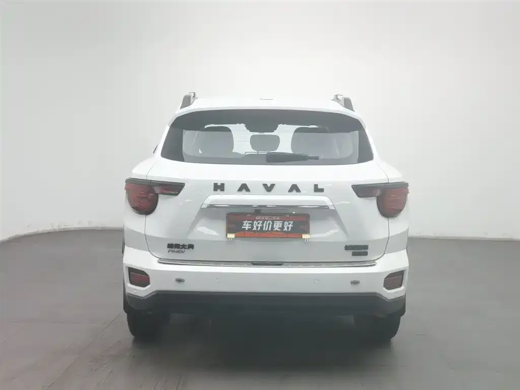 Haval H7 (Big Dog Plus) New Energy 2024 из CN, фото 2