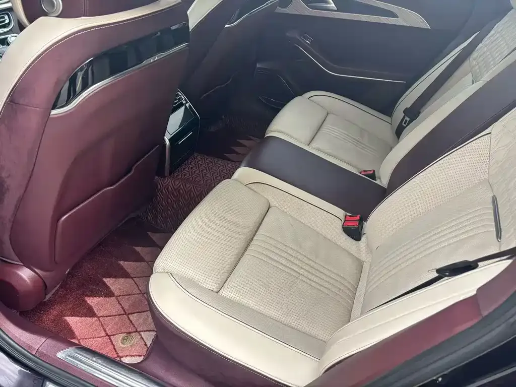 Hongqi H9 2022 из CN, фото 4